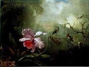 Martin Johnson Heade Cattleya Orchid Three Brazilian Hummingbirds Spain oil painting artist
